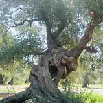 Alpesi faház Aheritage 5